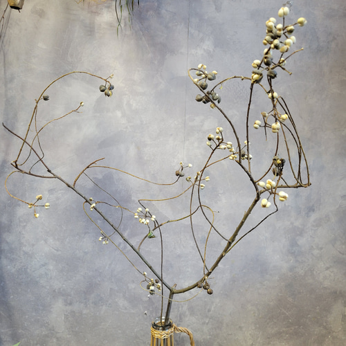 季節限定！ナンキンハゼ 枝物 80~90cm ドライフラワー papaver 通販