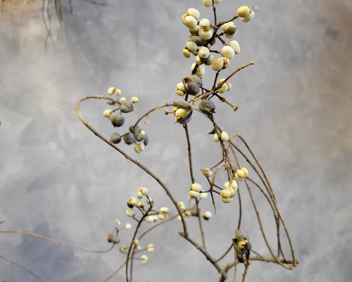 ebd0e25bfb31279010f26f23155ceb