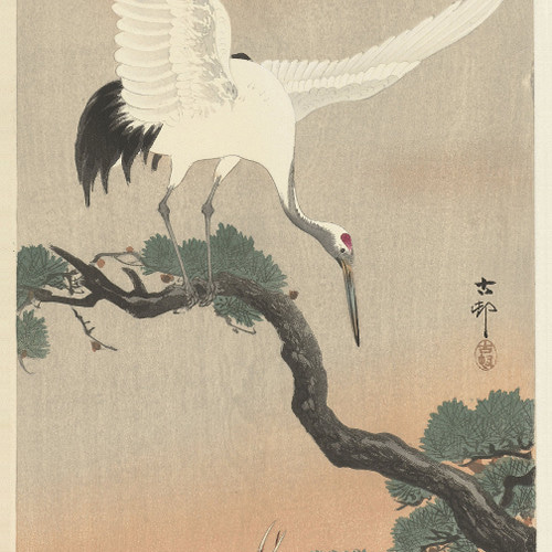 鶴と雛日本画アートポスター☆松の木お正月結婚式浮世絵和柄和室