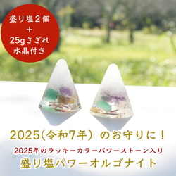 盛り塩 オルゴナイト 2個セット＋25gさざれ水晶付＞ 2025年ラッキー