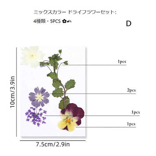 手作り押し花キット：植物標本＆DIY その他インテリア雑貨 King 通販