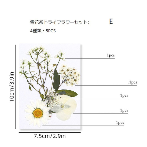 手作り押し花キット：植物標本＆DIY その他インテリア雑貨 King 通販