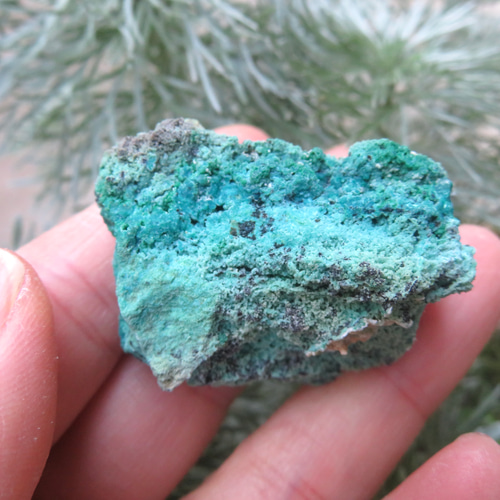 クリソコラ マラカイト プラネット鉱山 閉山 鉱物標本 原石 天然石