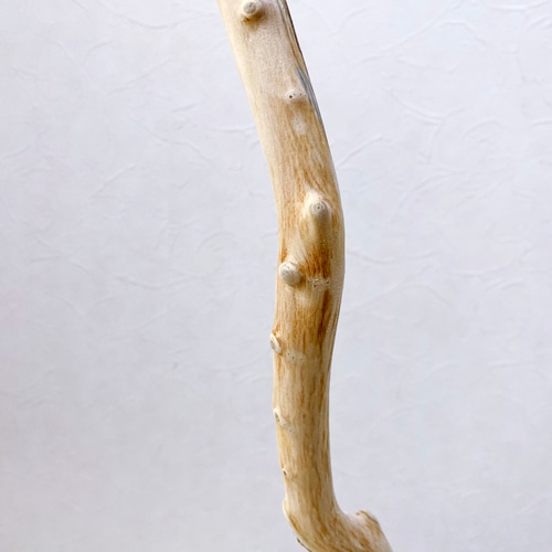 流木art ஐ鳥の止まり木 流木の止まり木】高さ約83cm！大型 鳥 インコ シンプルな止まり