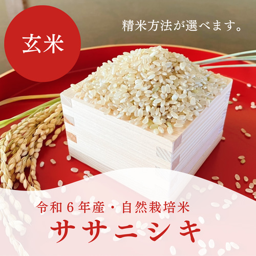 完売御礼】自然栽培米（無施肥 農薬不使用）ササニシキ【5kg