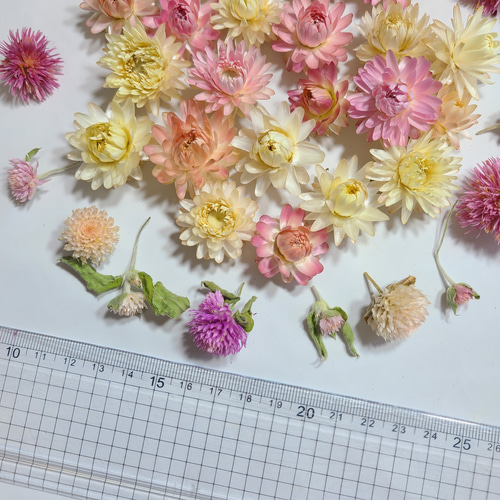 貝細工 ドライフラワー 素材 花材 ヘリクリサム 花材詰め合わせ ドライ