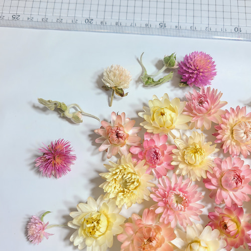 貝細工 ドライフラワー 素材 花材 ヘリクリサム 花材詰め合わせ ドライ
