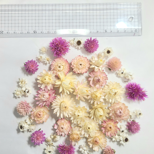 貝細工 ドライフラワー 素材 花材 ヘリクリサム 花材詰め合わせ