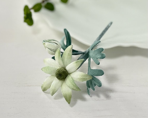 う*ん様 花のブローチ 布花星のような花が可愛らしいフランネルフラワーのブローチ