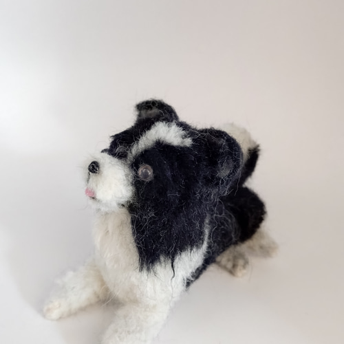 羊毛フェルト 伏せをするボーダーコリー 羊毛フェルト Rurumaru 通販