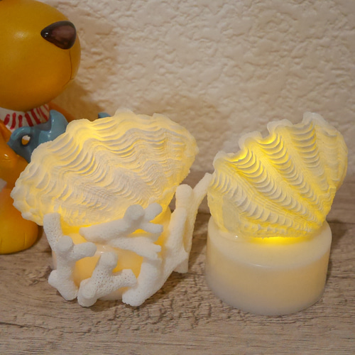 宮古島産 シャコ貝&サンゴ(5本)で製作したランプ ミニミニサイズ LED