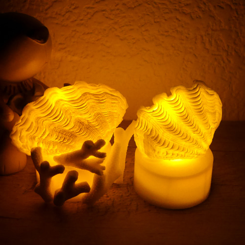 貝殻 しゃこ貝照明 置物