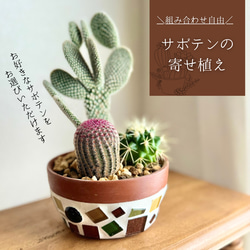 783a20d3654bf5097a407fbe4f1507