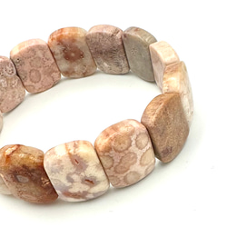 00299)化石珊瑚 フォッシルコーラル バングル 天然石 ブレスレット