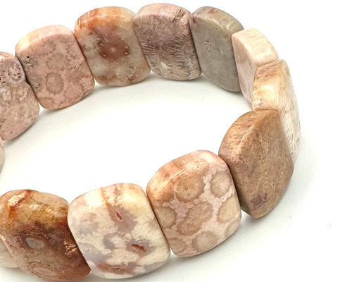 00299)化石珊瑚 フォッシルコーラル バングル 天然石 ブレスレット