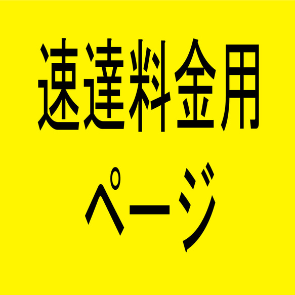 速達料金用専用ページ 1枚目の画像