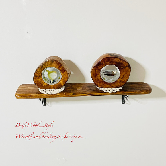 流木インテリア 味わいある流木板のウォールシェルフ ラック フォト ディスプレイ ウォールデコ 壁掛け 棚 北欧 N1 2枚目の画像