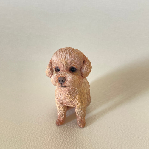 トイプードル ブラウン フィギュア その他置物 BuchiMart 通販