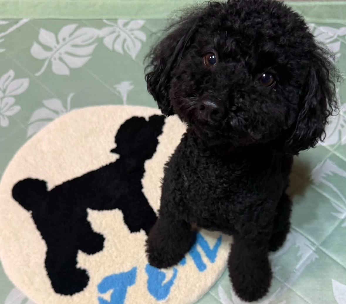 [送料＆ギフト無料]直径40センチのタフティング で作った「うちの子」のモフモフ、フワフワなオーダーメイドラグマット。