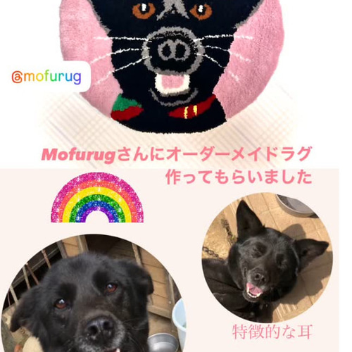 あなたの愛犬、愛猫ラグマットにしませんか？？タフティングオーダーメイド あなたの愛犬、愛猫ラグマットにしませんか？？タフティング