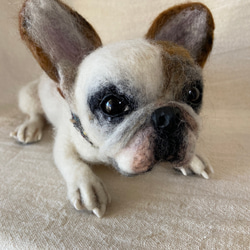 076c83a0f6d6acd9388b6c2cc911e5