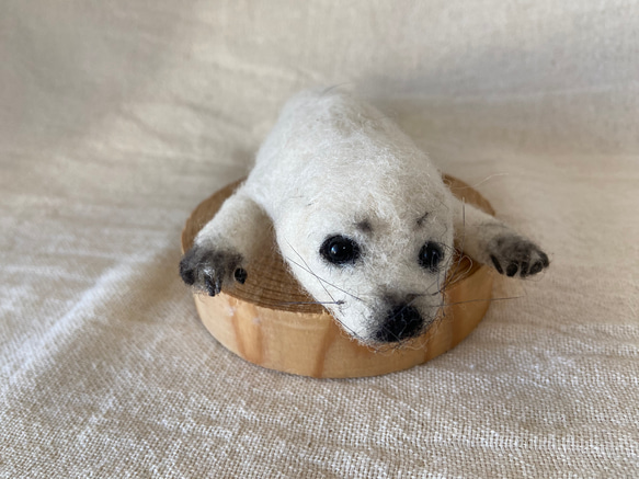 タテゴトアザラシ 羊毛フェルト 羊毛 ゴマアザラシ 羊毛フェルト