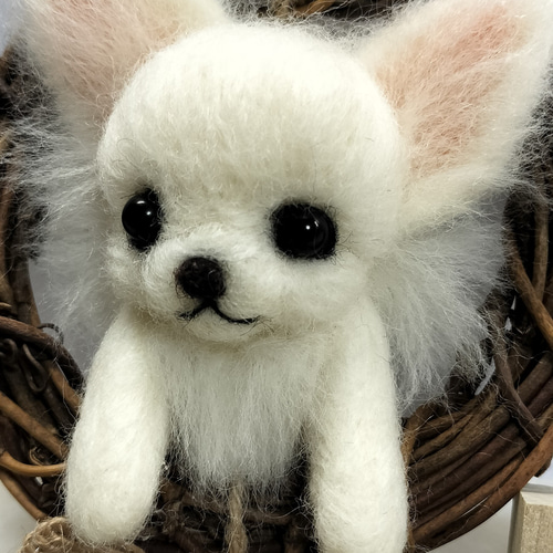 羊毛フェルト ホワイトチワワ ウェルカムリース 羊毛フェルト Hand