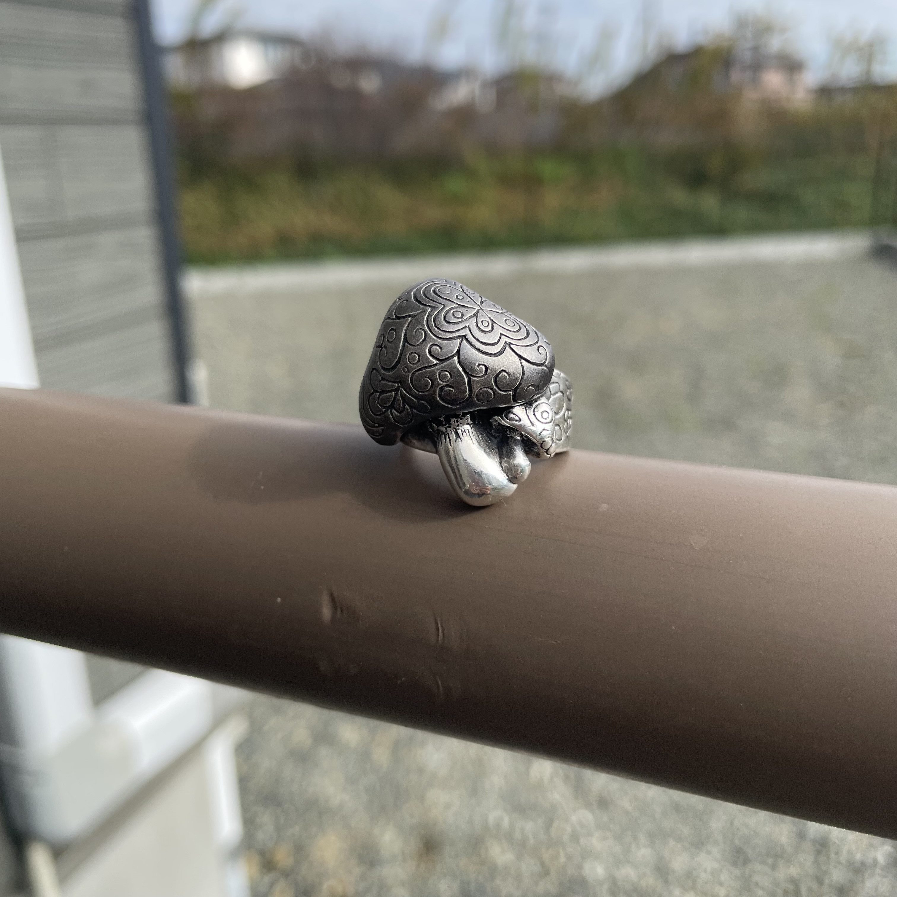 森の中からこんにちは！きのこリング