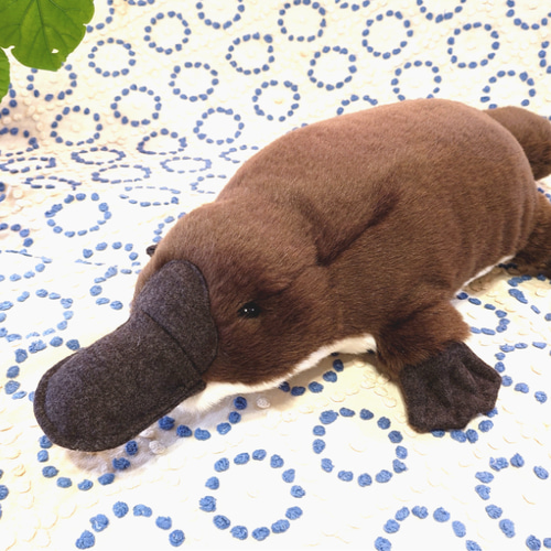 受注生産】ふわふわ 動物 ぬいぐるみ かものはし カモノハシ 抱き