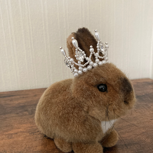 煌めく6個のクリスタル ミニクラウン ペット誕生日 誕生日