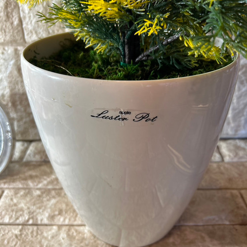 光触媒　人工観葉植物　ウォールグリーン　フェイクグリーン　ゴールドクレスト115 光触媒 人工観葉植物 ウォールグリーン フェイクグリーン