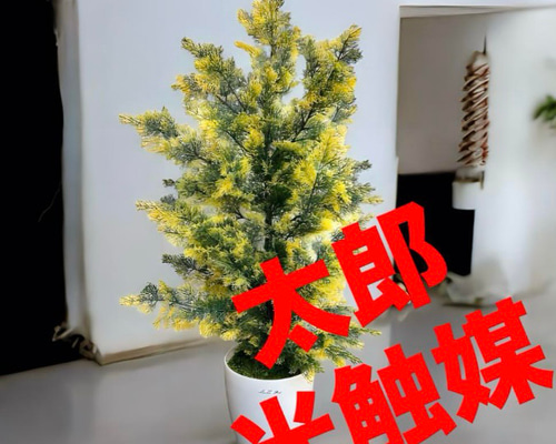 光触媒　人工観葉植物　ウォールグリーン　フェイクグリーン　ゴールドクレスト115 光触媒 人工観葉植物 ウォールグリーン フェイクグリーン