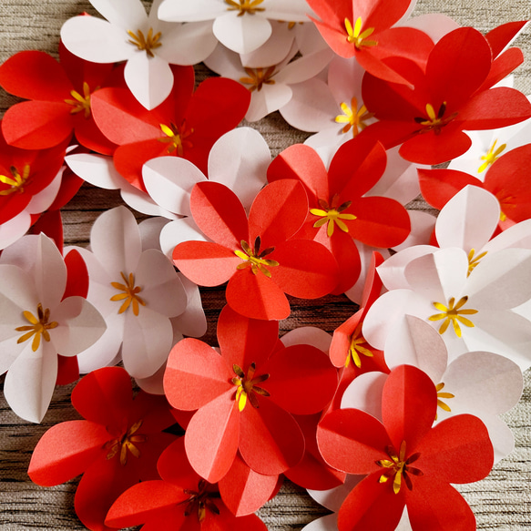 初春の壁面飾り 梅の花 30枚】壁面飾り パーツ その他インテリア雑貨