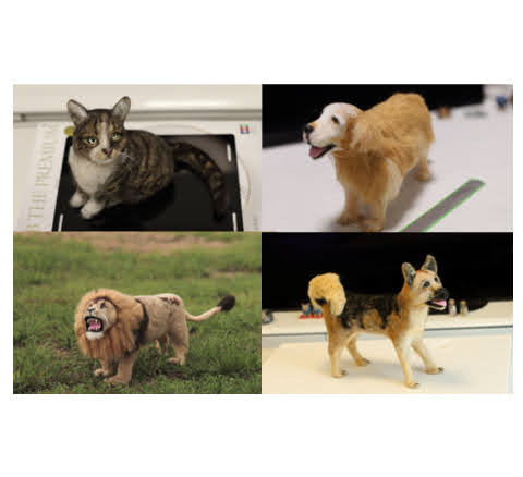 うちの子(犬、猫、他)、野生の子(ライオン、虎、他)色々な動物をリアル羊毛フェルトでオーダー製作致します