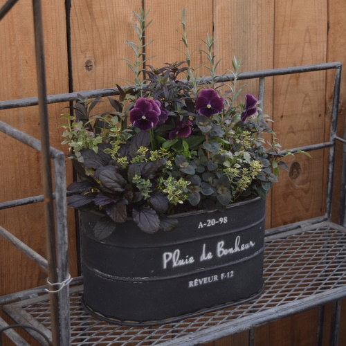 ☆多肉の寄せ植え〜flower29car マットブラック〜☆ 楽天市場】多肉