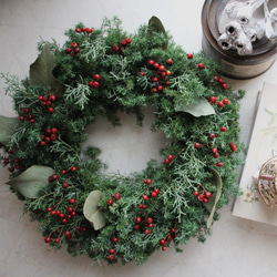 ミモザアカシア・ゴールデントップ 10本セット その他素材 juneberry