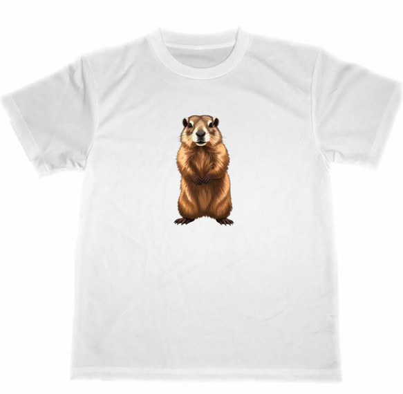マーモット ドライ Tシャツ アニマル 動物 グッズ 1 イラスト T