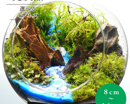 苔テラリウム 苔テラリウム【森】 テラリウム 6F MOSS WORK 通販 14030649｜Creema