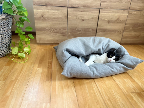 【ふとん屋さんが広げる輪】本物の羽毛を使ったなめらかクッション　ドーム型ダウンクッション　犬や猫に　ペットベッド 4枚目の画像