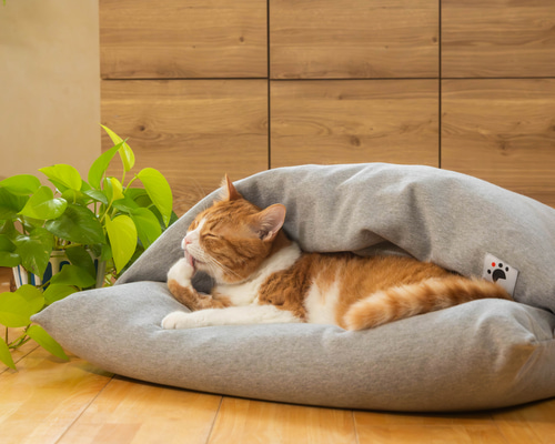 97e7c352d993822f7bdc5867f292a1