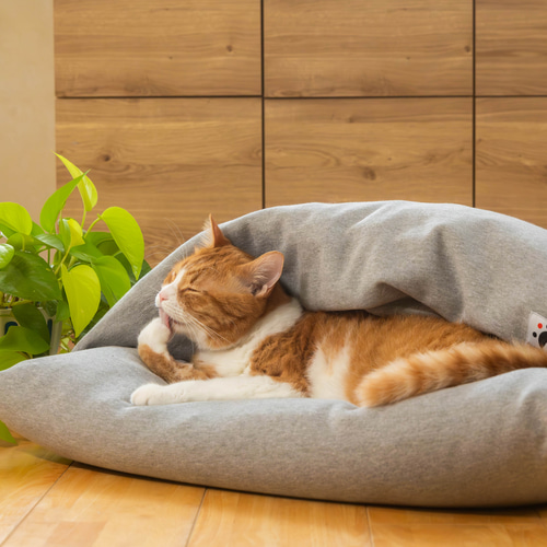 ふとん屋さんが広げる輪】本物の羽毛を使ったなめらかクッション