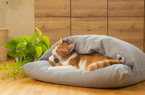 ふとん屋さんが広げる輪】本物の羽毛を使ったなめらかクッション