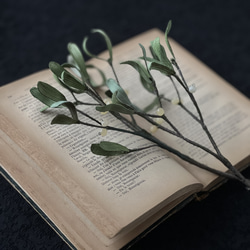 fd729a78b2eabbe26ab81b4a514689