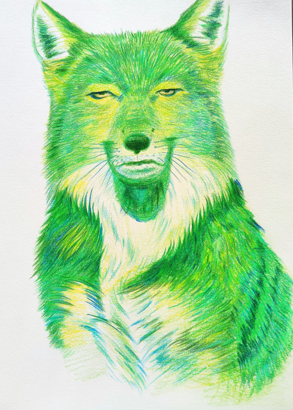 チベットスナギツネ グリーン 絵画 patezou 通販 18604560｜Creema