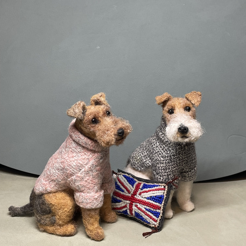 タートルネックの似合う犬（ワイヤーフォックステリア） 羊毛
