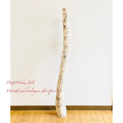 流木インテリア 置いて飾るだけで癒される大型流木 無垢の流木 流木スタンド 置物 北欧 木材 癒し N3 7枚目の画像