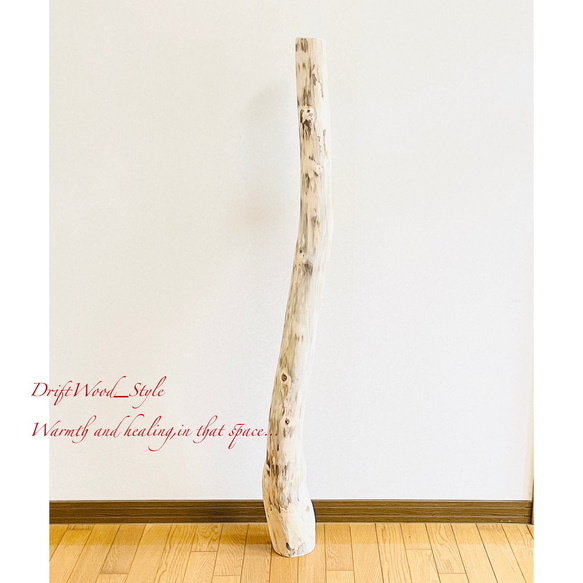 流木インテリア 置いて飾るだけで癒される大型流木 無垢の流木 流木スタンド 置物 北欧 木材 癒し N3 7枚目の画像