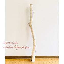 流木インテリア 置いて飾るだけで癒される大型流木 無垢の流木 流木スタンド 置物 北欧 木材 癒し N3 6枚目の画像