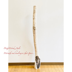 流木インテリア 置いて飾るだけで癒される大型流木 無垢の流木 流木スタンド 置物 北欧 木材 癒し N3 1枚目の画像