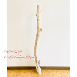 流木インテリア 置いて飾るだけで癒される大型流木 無垢の流木 流木スタンド 置物 北欧 木材 癒し N3 8枚目の画像